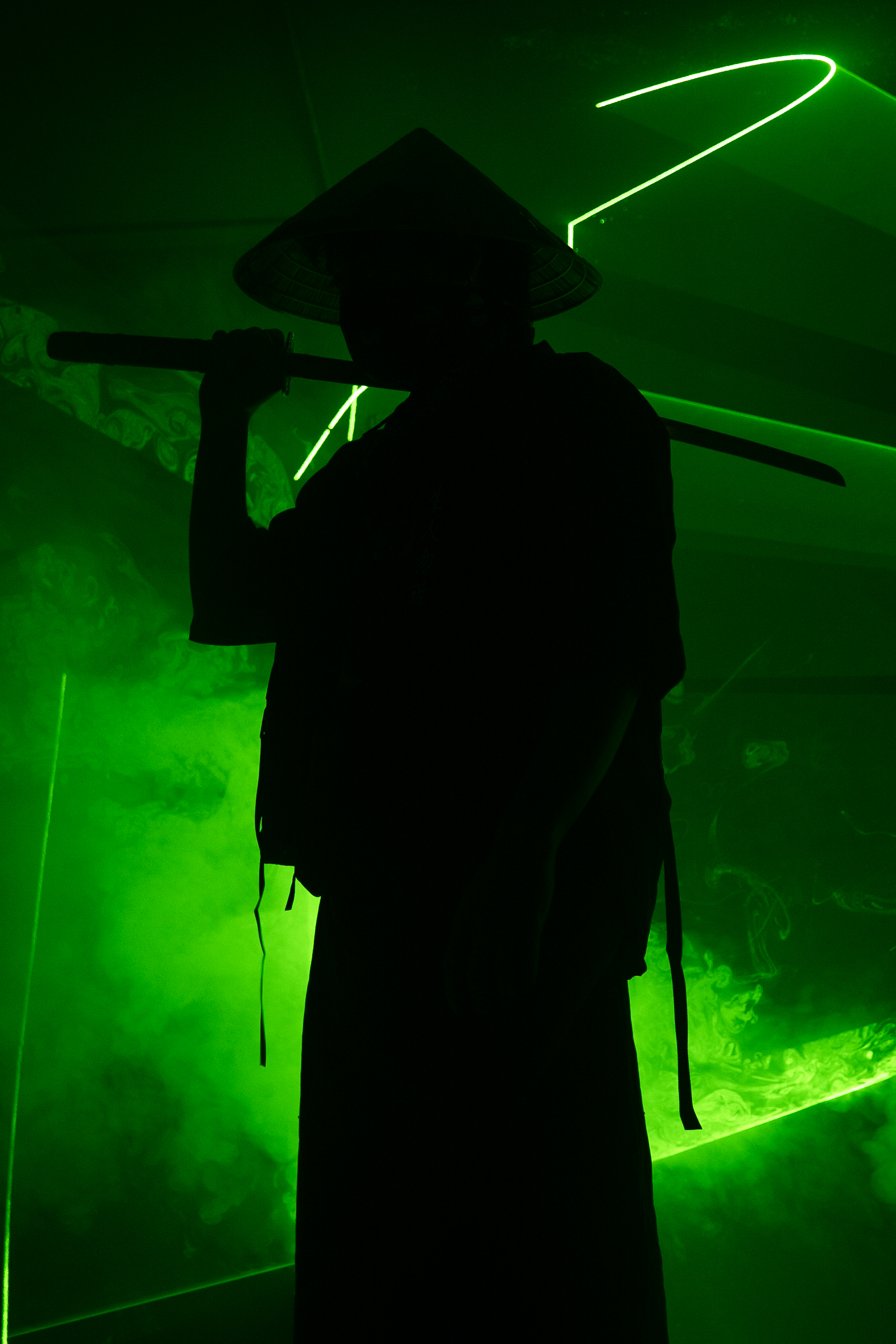Cyber Ninja