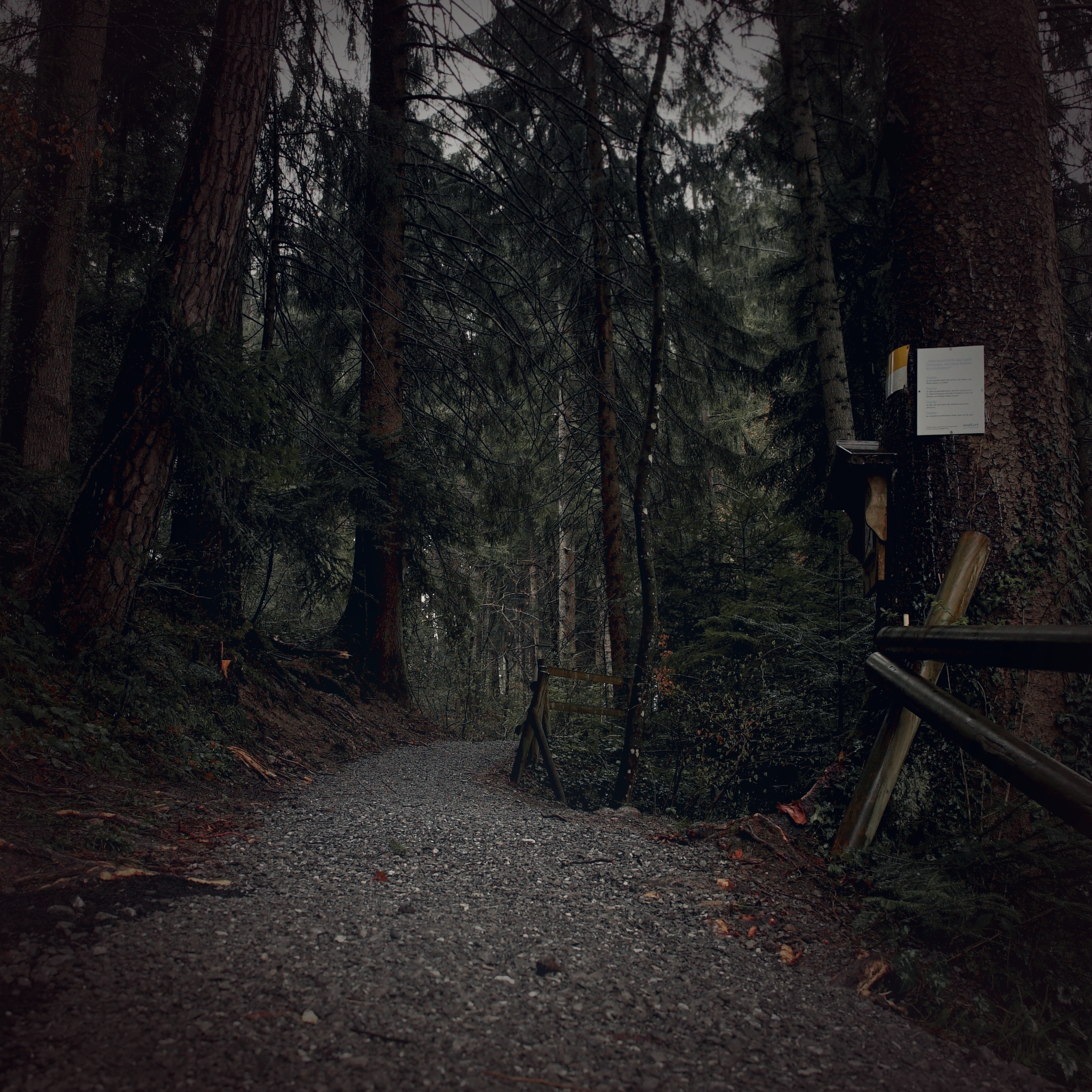 Nature - Bild 2